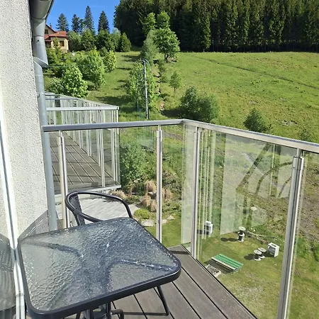 Apartman Czarna Gora 315